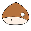 안효원