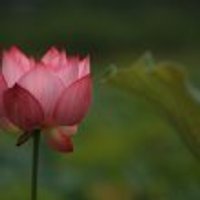프로필