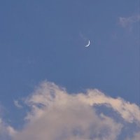 프로필
