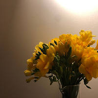 프로필