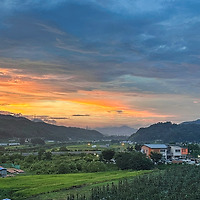 프로필