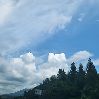 프로필