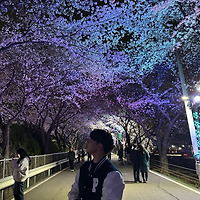 프로필