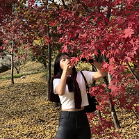프로필