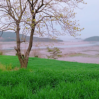 프로필