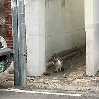 프로필