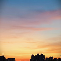프로필