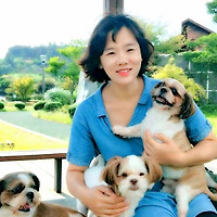 프로필