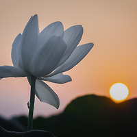 프로필
