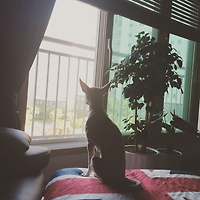 프로필