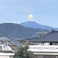 프로필