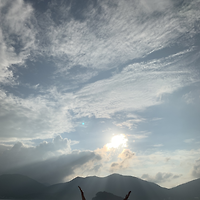 프로필