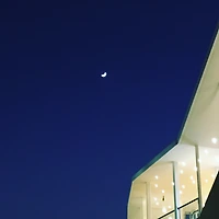 프로필