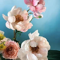 프로필