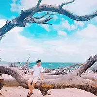 프로필