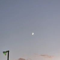 프로필