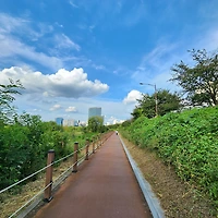 프로필