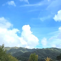프로필