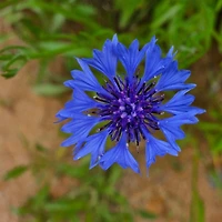 프로필
