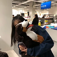 프로필