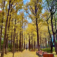 프로필
