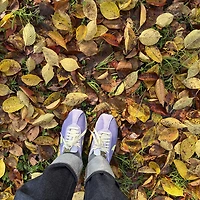 프로필