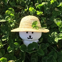 프로필