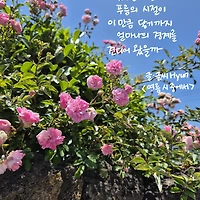 프로필