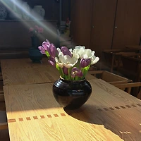 프로필