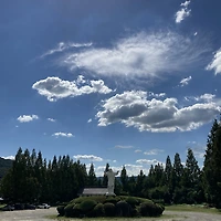 프로필