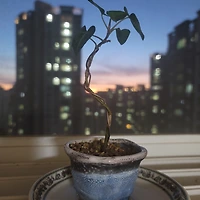 프로필