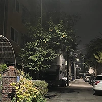 프로필