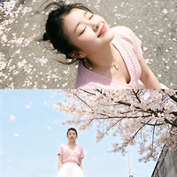 프로필
