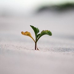 원하는 일을 함께 이루는 방법 썸네일