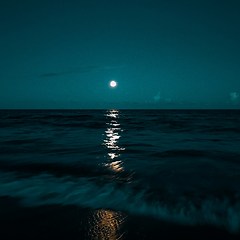 제19화 — 로 (路) 썸네일