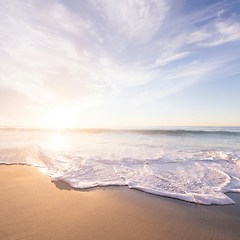 제30화 — 서 (書) 썸네일