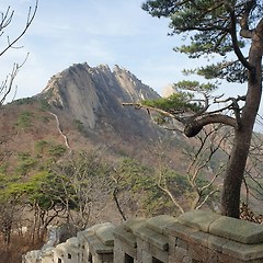 제11화 — 로 (路) 썸네일