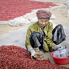 다시 살라면 못 살아요. 하지만 잘 견뎌낸 건 분명해요 썸네일