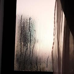 남겨진 숨 썸네일