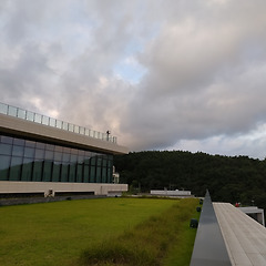 기업 마음챙김 :SAP, Google, Aetna 썸네일
