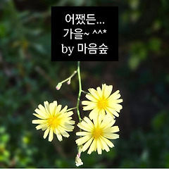 아침 산바카라길 55 썸네일