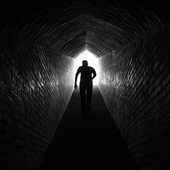 아무도 안 쓰는 기능을 6개월 동안 만들었다 썸네일