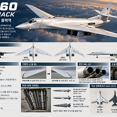 Tu-160 Blackjack 썸네일