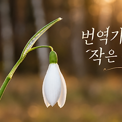 번역가의 완찬과 대학/대학원 썸네일
