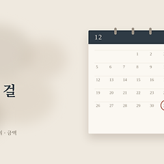 회계는 애매한 걸 싫어해 썸네일