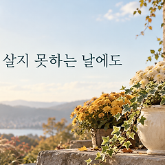 꽃처럼 살지 못하는 날에도 썸네일