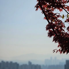 우리로 말하자면 썸네일