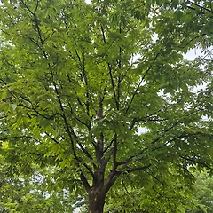운이라는 이름의 요동 썸네일