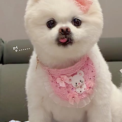 멍.. 썸네일