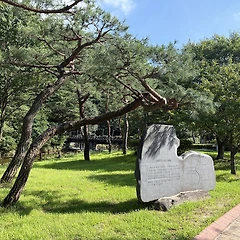 잊어버린 숫자 썸네일